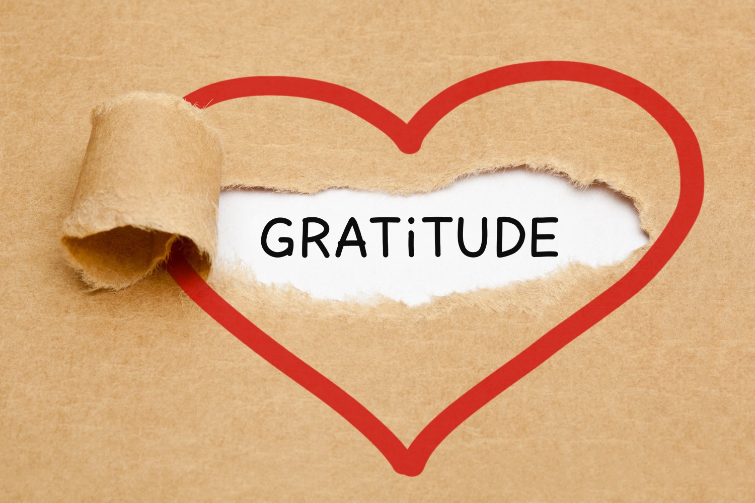 Gratitude 